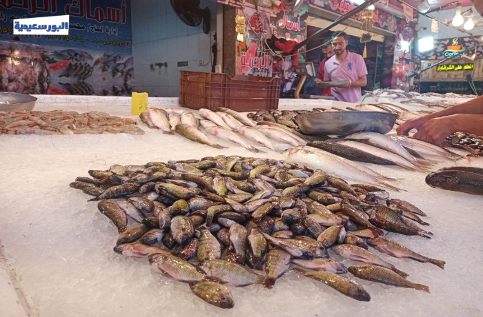 "مش هنشتري فسيخ العيد".. ارتفاع سعر البنزين يغيّر عادات بورسعيد