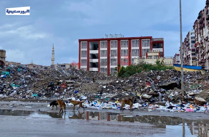 القمامة تحاصر مدرسة "الشهداء".. وأولياء أمور: أولادنا بيخافوا يروحوا
