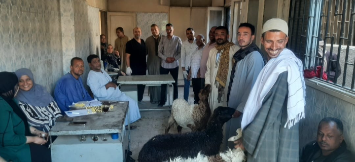 إطلاق قافلة بيطرية مجانية في سوهاج غدًا الأربعاء