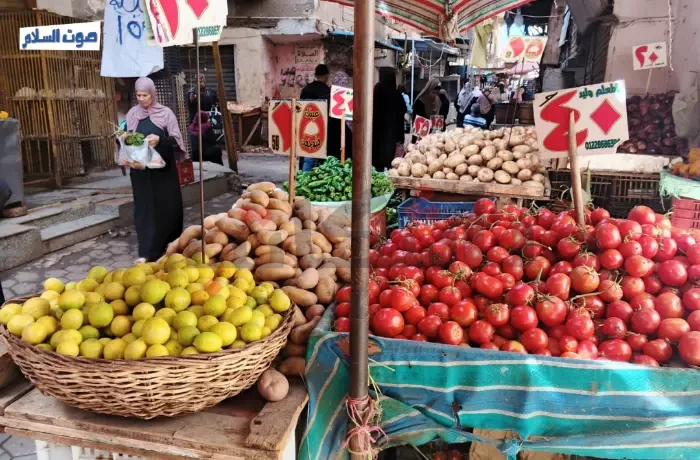 مجنونة يا "قوطة".. زيادة أسعار الطماطم تغيّر مائدة أهالي دار السلام