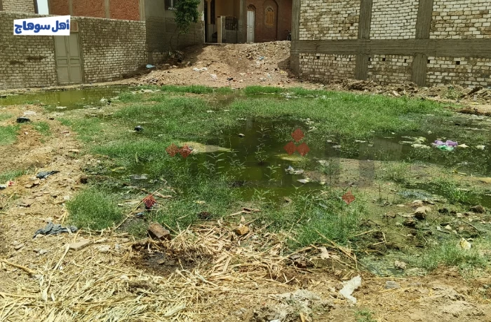 تسرب مياه الصرف الصحي إلى بيوت نجع الماسخ والسكان: "نعاني منذ سنوات"