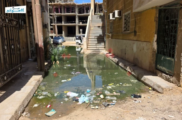 يصلون وسط الروائح.. طفح الصرف يحاصر مسجد عباد الرحمن بأسوان