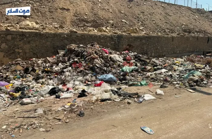 من طريق رئيسي إلى نقطة اختناق.. القمامة تحاصر شارع المحجر