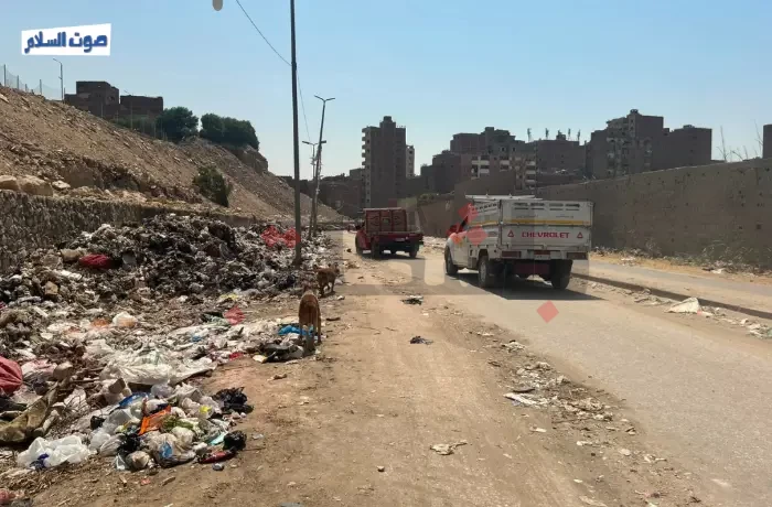 بعد تقرير "صوت السلام".. نائب يستجيب لرفع القمامة بشارع المحجر