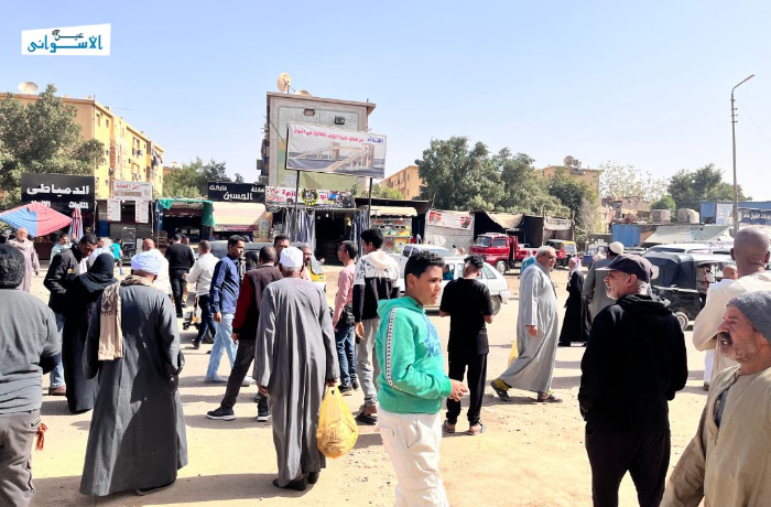 "عربية السيل فين؟".. ساعة انتظار تدفع ركاب "كرور-السيل" لبدائل أغلى