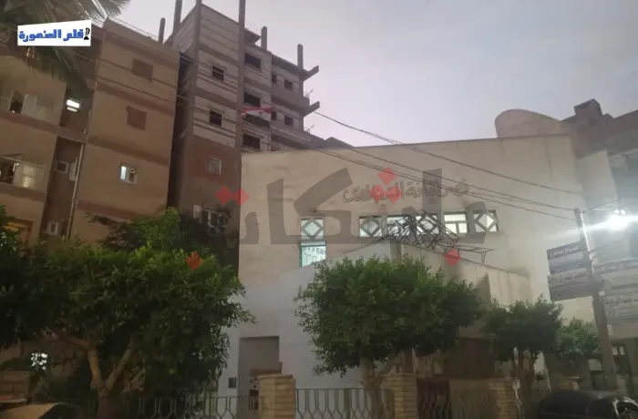 مواهب بلا مساحة.. شباب السنبلاوين يواجه غياب البيئة الثقافية