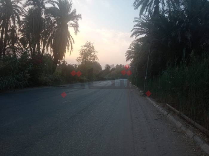 بعد هروب "المستريح".. عودة الحياة بإدفو