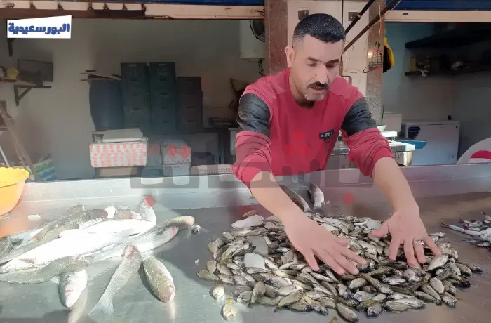 Fish Prices Skyrocket, Gradually Vanishing from Port Said Menus