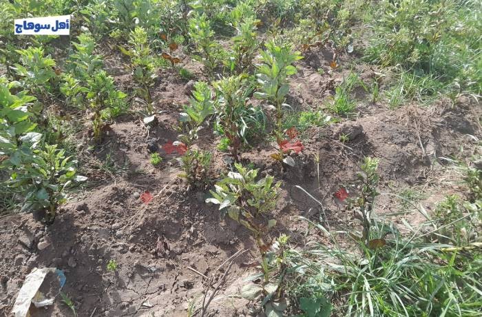 انقطاع المياه يعيق حياة الأهالي.. ومزارعون: «المحاصيل فسدت»