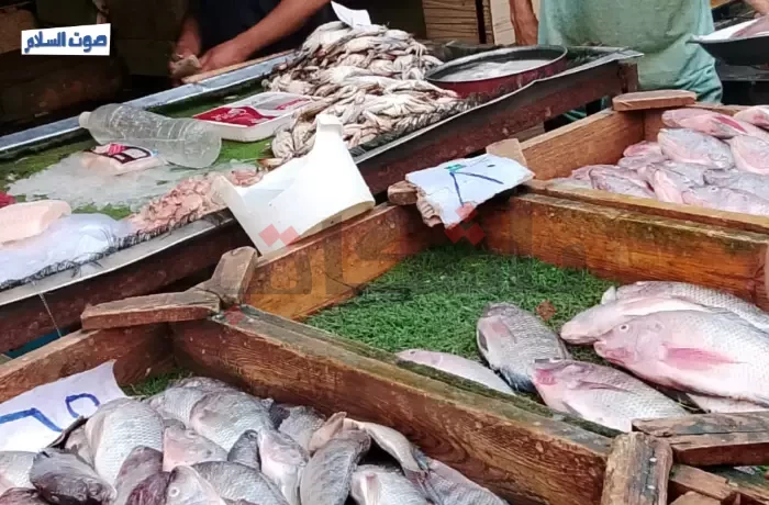 سوق أسماك دار السلام قِبلة الزبائن (ألبوم صور)
