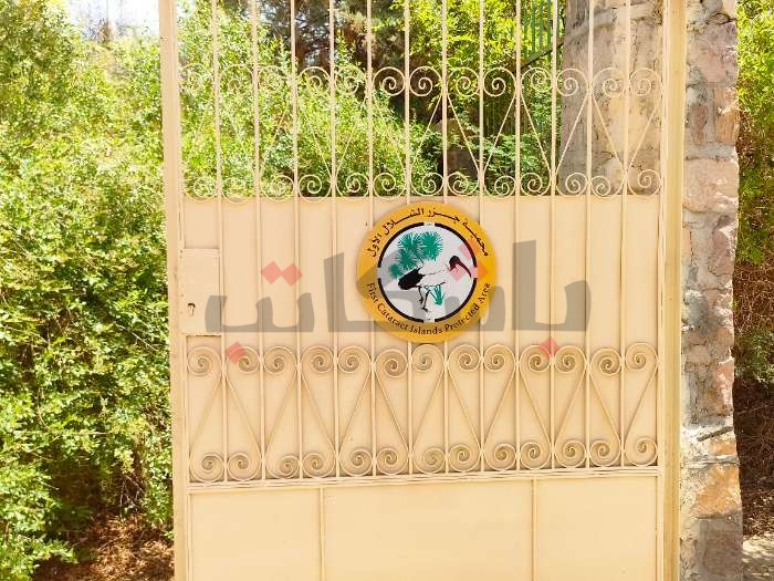 برنامج "إعداد المرشد البيئي" ينظّم زيارتين لـ"سالوجا وغزال"