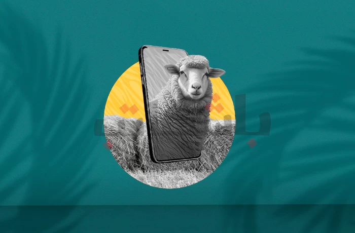 ذبح الأضحية بين التراث والحداثة