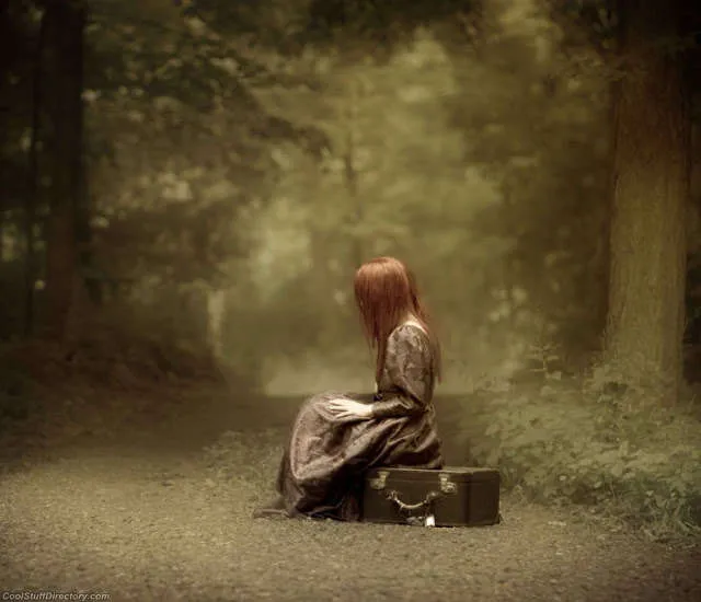 البحث عن طريق العودة