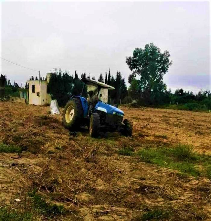 الإنذار الأخضر.. مشروع يدعم الزراعات البديلة لمواجهة "أزمة المناخ"