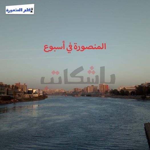 المنصورة في أسبوع| أوائل الدبلوم الفني وتطعيمات لآباء وكهنة الكنيسة