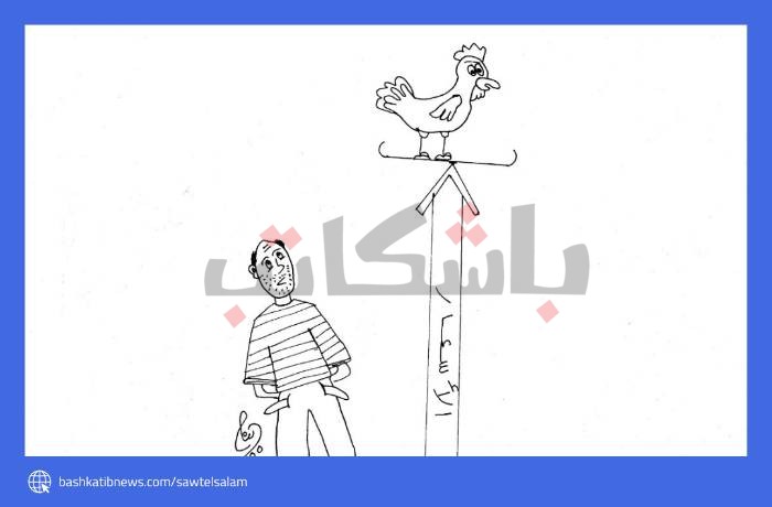 ارتفاع أسعار الدواجن