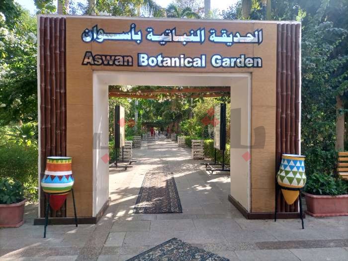البوم صور - جزيرة النباتات في أسوان
