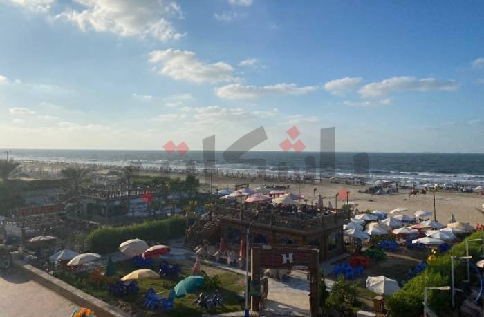 تقرير لـ "محمية أشتوم الجميل": طحالب شاطئ بورسعيد "غير سامة" وظهرت بسبب الحرارة