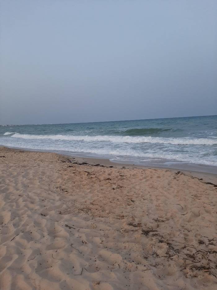 برنامج وطني في السباحة لصالح الشباب