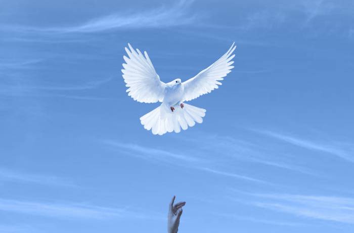 حتى الحب كان حلمًا