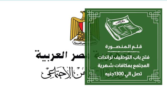 التضامن تعلن عن وظائف لرائدات مجتمع