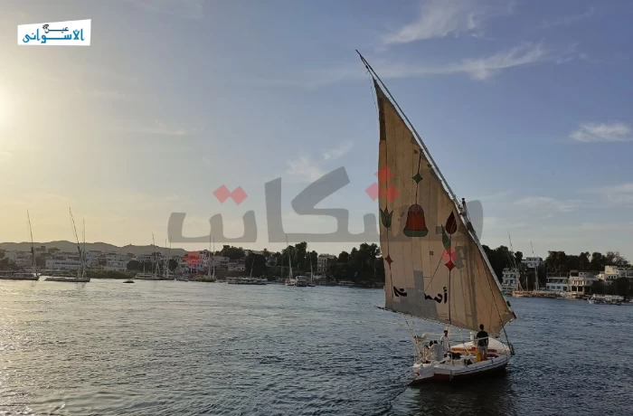 المراكب والحناطير.. سياحة أسوان: "كفاح من أجل البقاء"