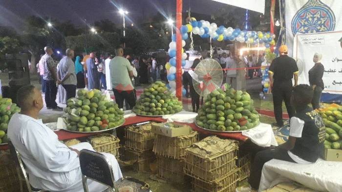 المانجو الأسواني.. التغييرات المناخية توقف الصدارة الدولية