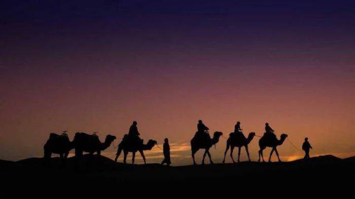 اليوم.. ندوة "هجرة الرسول" باستاد المنصورة