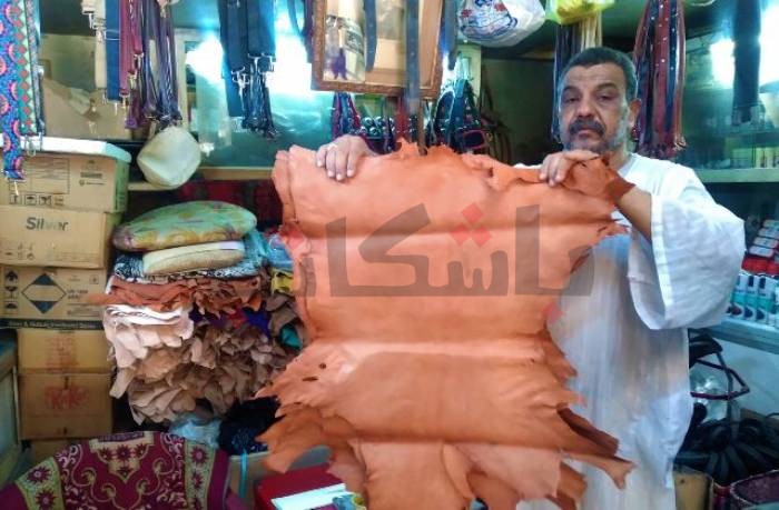 بعد عيد الأضحى.. أين تذهب جلود الماشية في أسوان؟