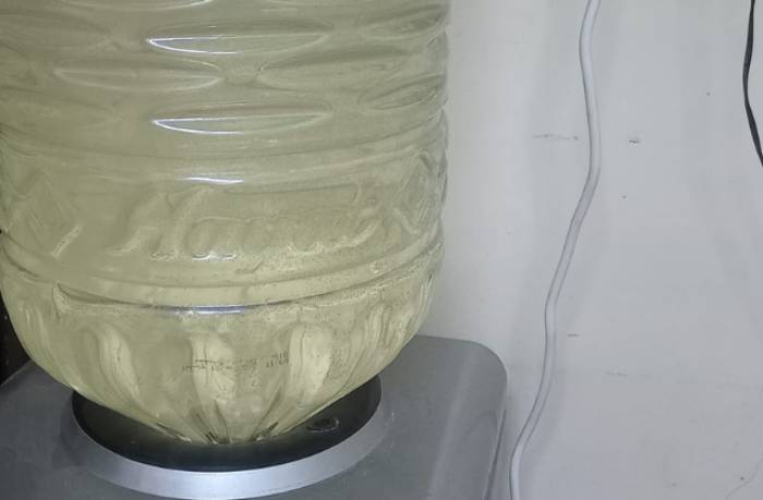 ليست المرة الأولى.. استمرار تعكر مياه الشرب بأسوان وسط قلق المواطنين