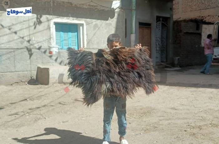 "لسابع جد".. عادة "دبغ جلود الأضحية" يرثها الأحفاد في سوهاج