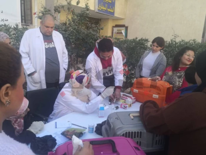 "أهل سوهاج" مع أول قافلة بيطرية للحيوانات الأليفة في المحافظة