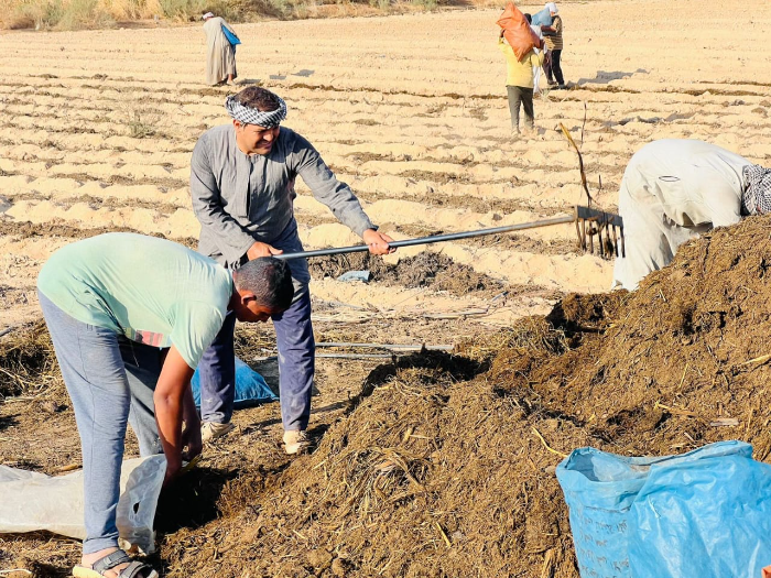 محافظة المنيا تُحذر من إعلانات وهمية لبيع "الظهير الصحراوي"