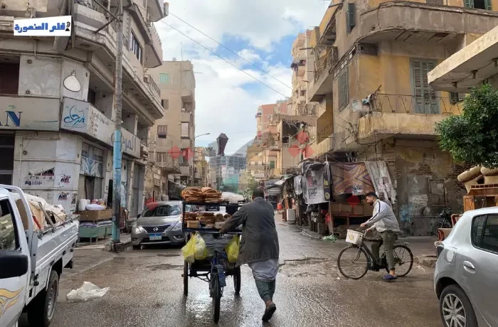 أجواء شتوية ممطرة في المنصورة (ألبوم صور)