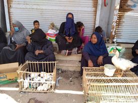 بائعو سوق الخميس في أسوان يتضررون من النقل