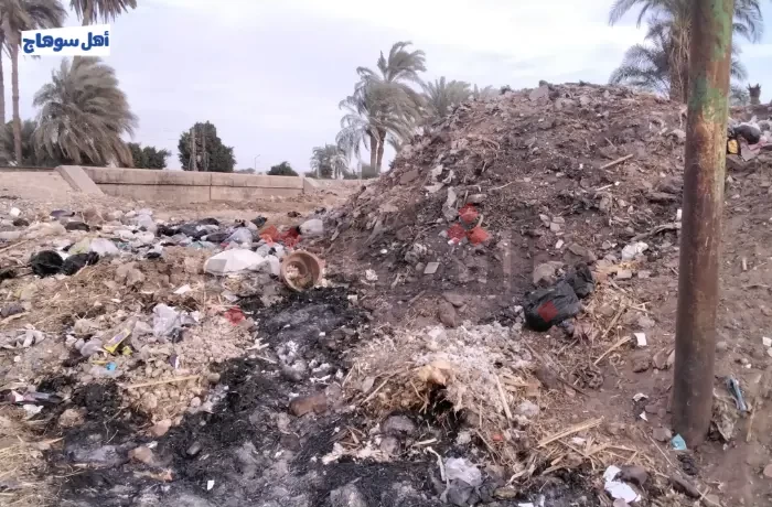 لدغات العقارب والثعابين تهدد تجارة الأغنام في نجع الماسخ