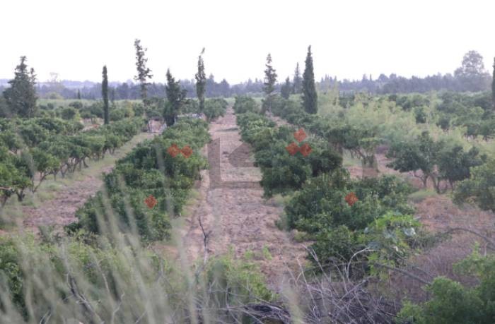 خبير طقس : بعض السواحل التونسية كانت معرضة لخطر إعصار دانيال