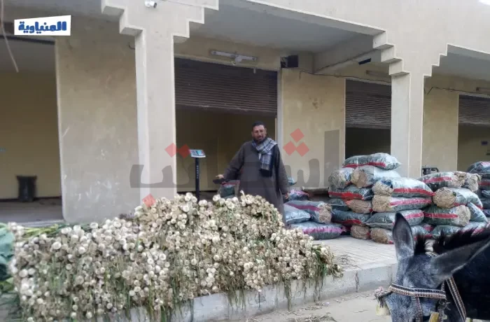 بعد مرور شهر على افتتاح سوق "ماقوسة".. تجار "الحبشي" في معاناة مستمرة 