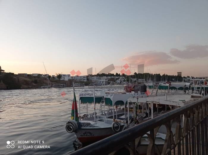 بـ"أكياس المياه" والسباحة في النيل.. كيف يواجه أهالي أسوان الحر؟