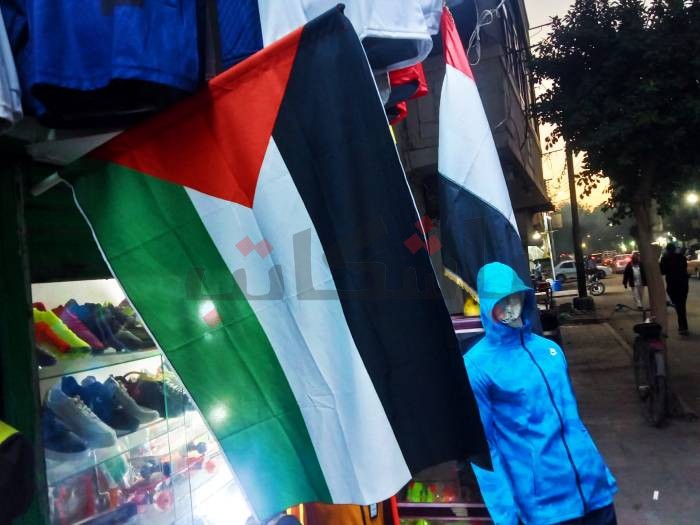 هدنة رسمية.. بالكلمة والعلم شوارع المنيا تدعم الشعب الفلسطيني