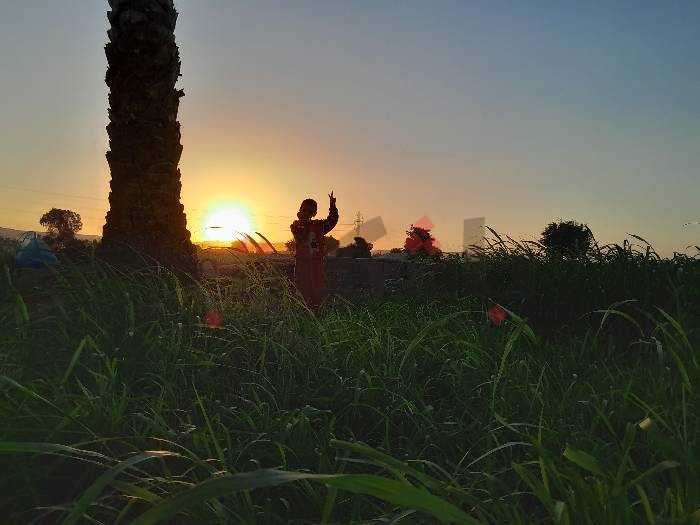 لوحة الغروب فوق أراضي "إدفا" بسوهاج