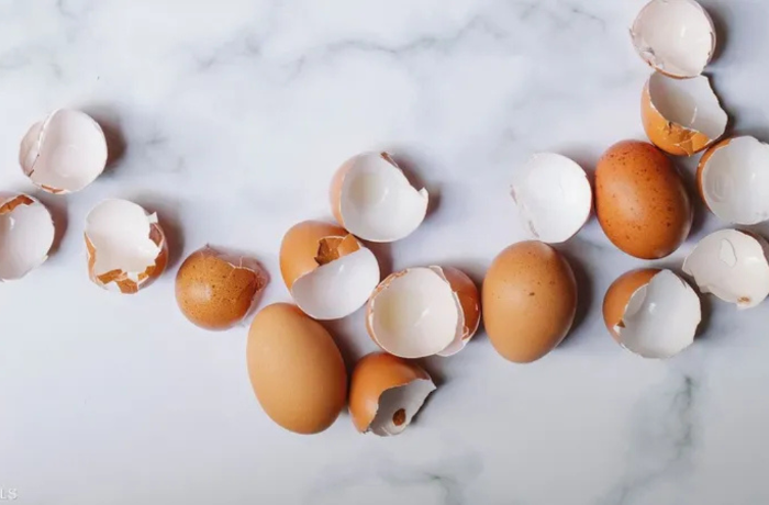 البيضة واللي قشرها