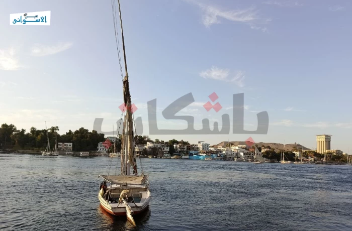 المراكب والحناطير.. سياحة أسوان القادرة على الصمود (ألبوم صور)