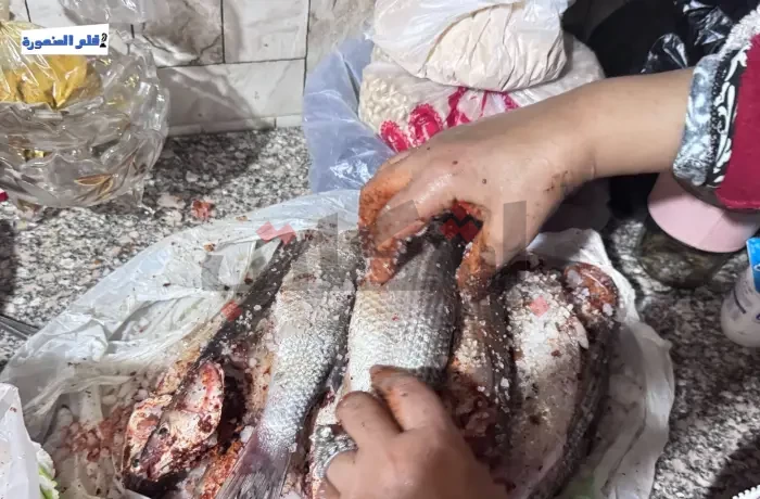 "الفسيخ البيتي".. من حل اقتصادي إلى مشروع مربح للسيدات في الأعياد