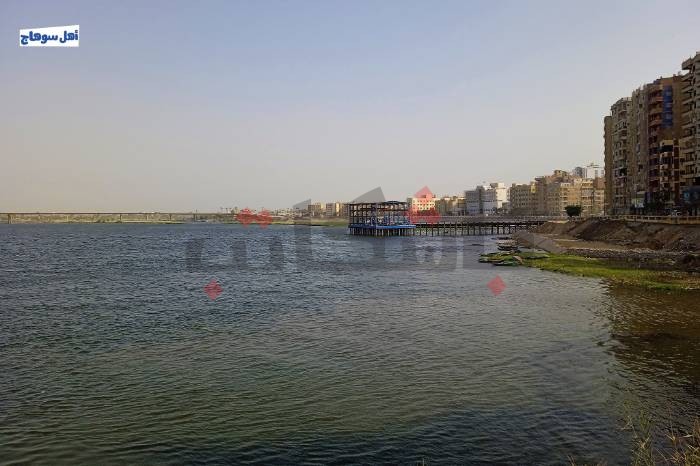 جمال الطبيعة في كورنيش نهر النيل في سوهاج