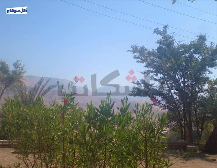 ألبوم صور | نادي الرحلات بـ سوهاج