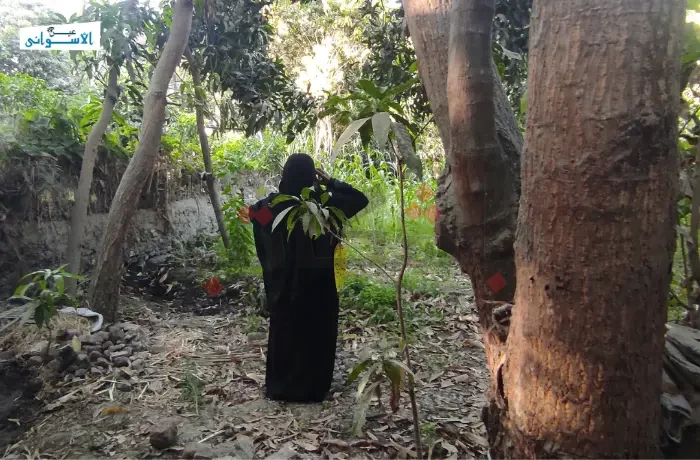 أطفال الحقول.. قصص لم تروَ عن أثمان لقمة العيش