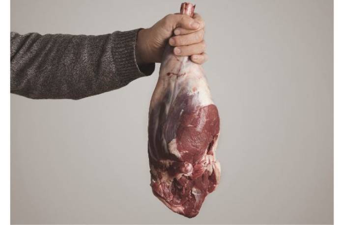 عن رحيل "القط" وصبيانه