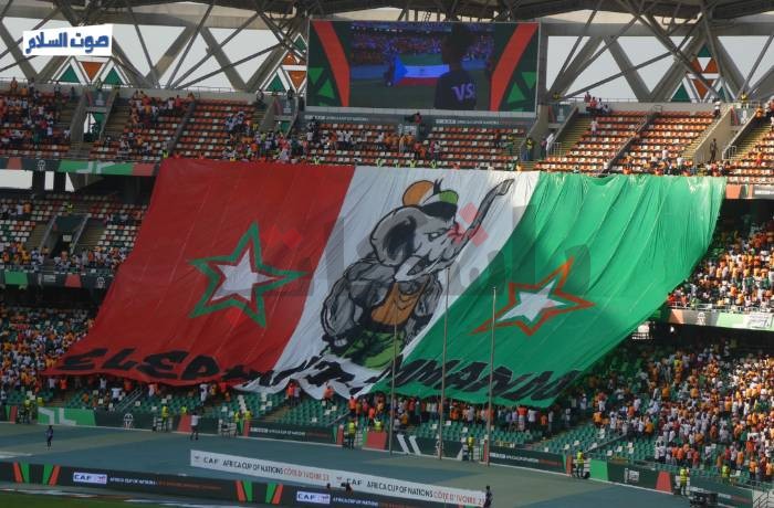 ملحمة "فاي" .. كيف حول "الأفيال" هزائمهم إلى انتصارات؟