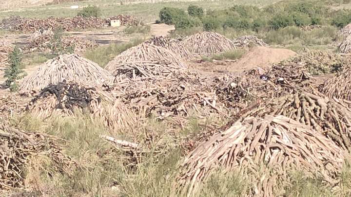 المرادم.. كابوس "بني علية" الذي يهدد صحة المواطنين